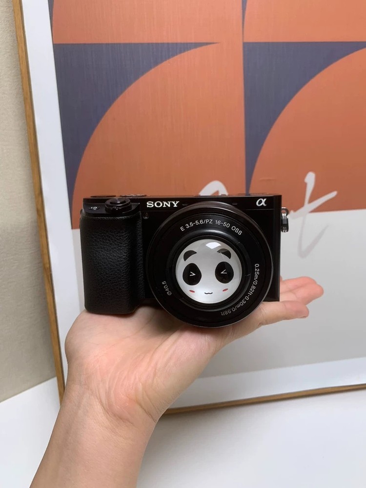 Sony Alpha a6100 24.2MP Mirrorless Digital Camera W/ SONY 16-50mm Lens BLACK