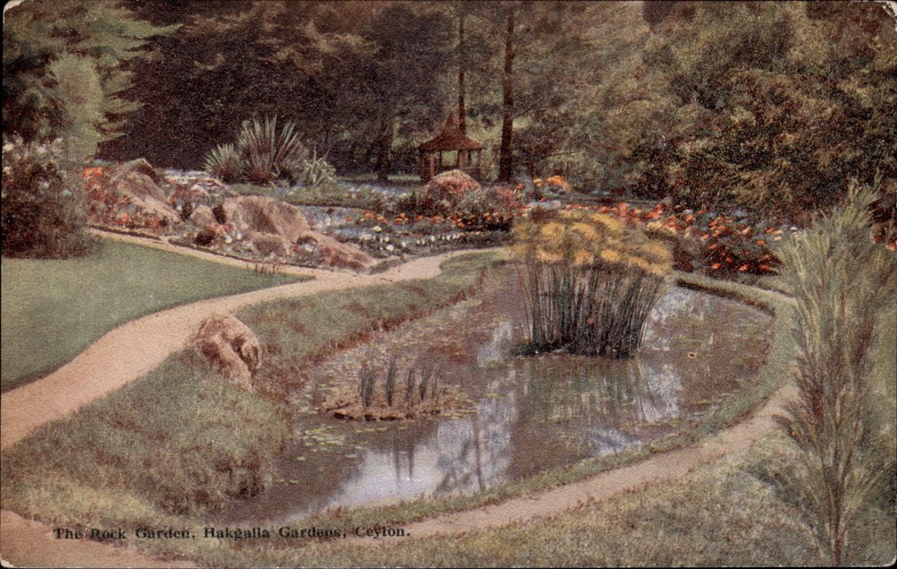 Rock Garden Hakgala Gardens Ceylon vintage postcard u507
