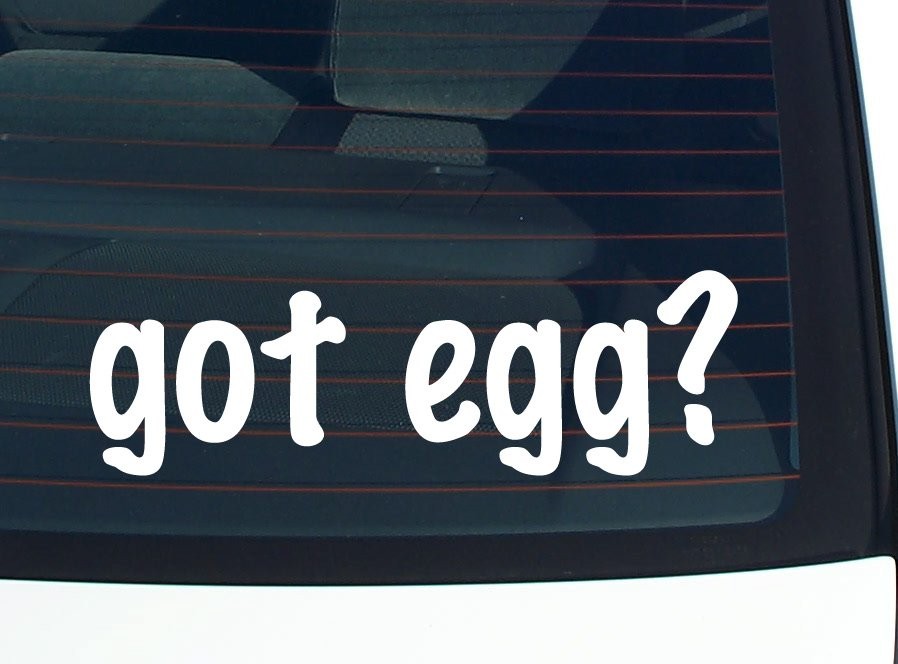 Got Egg Funny Car Decal Bumper Sticker Vinyl Window Joke