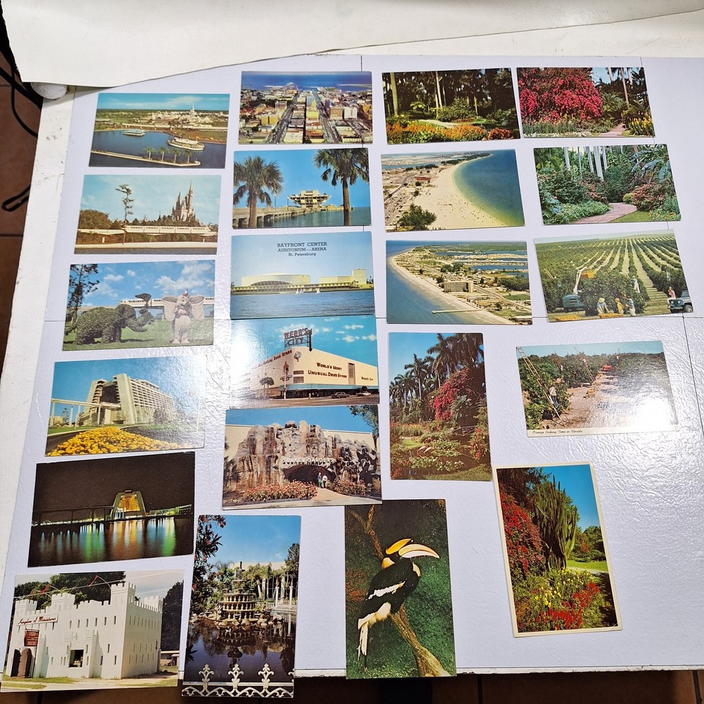 Lot of antique and Vintage Postcards Walt Disney World St Pete Florida
