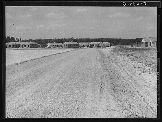 Ashwood Plantations South Carolina Lee County 1930s Farm Security Roadscape