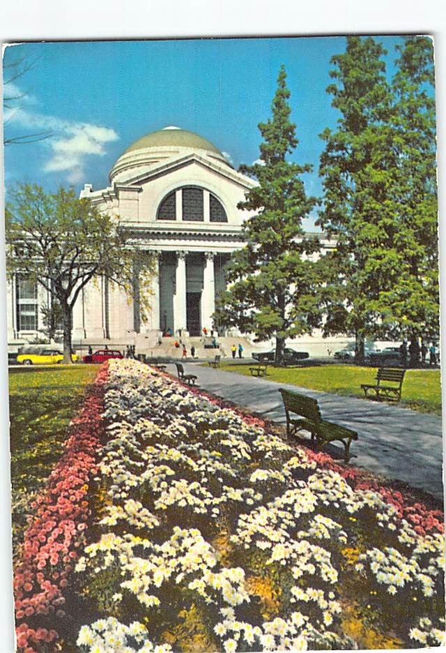 Postcard The National Museum of Natural History Washington DC USA
