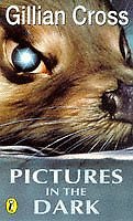 Pictures in the Dark By Gillian Cross. 9780140383133