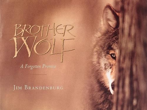 Brother Wolf : A Forgotten Promise by James Brandenburg (1993, Hardcover)