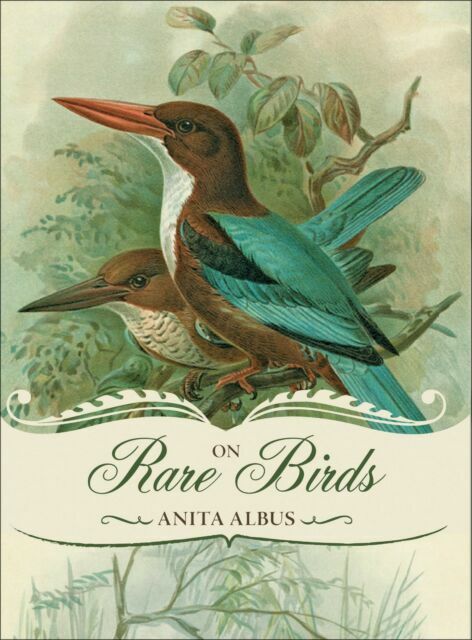 Rare Birds by Anita Albus 2011 Hardcover First Edition Fine Condition
