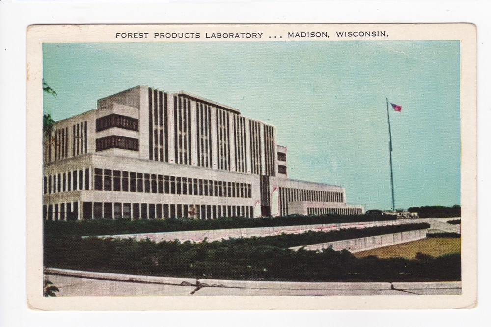Forest Products Laboratory Madison Wisconsin White Border Postcard