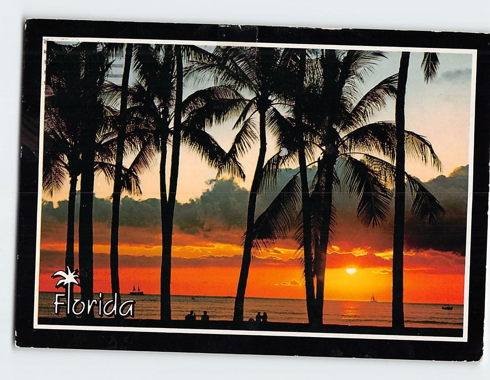 Postcard Sunset Scene in Florida USA