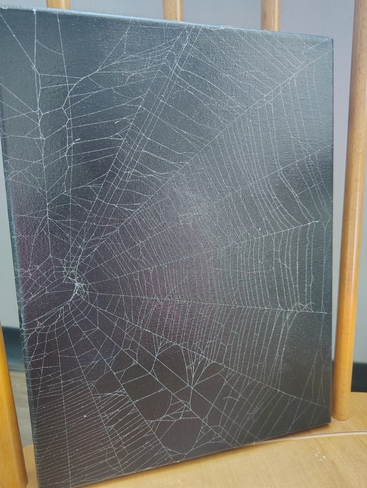Real Spiderweb Canvas Painting Original Art  High Gloss