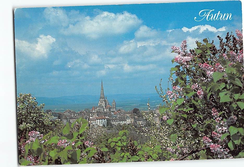 Postcard Cathedrale Saint Lazare Autun France