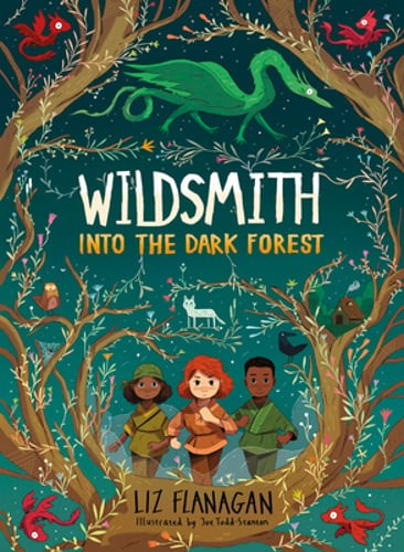 Into the Dark Forest by Liz Flanagan: Used