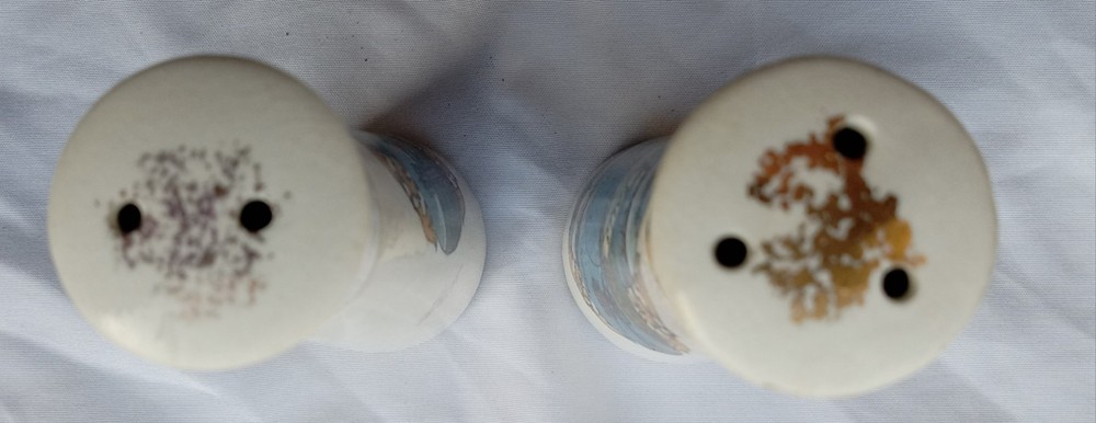 Vintage Made in Japan Canada Niagara Falls Ceramic Salt & Pepper Shakers 45