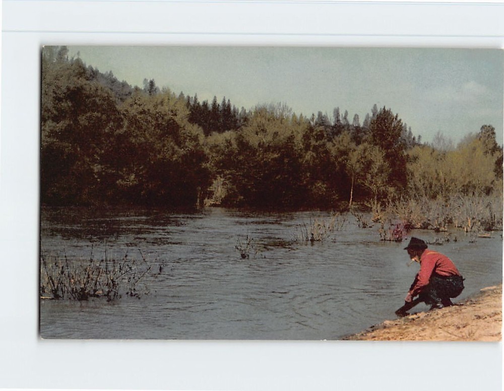 Postcard Gold Panning American River Sacramento California USA
