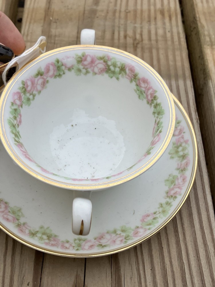 A vintage Bavaria porcelain teacup and saucer with pink roses and gold trim.