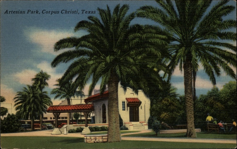 Artesian Park Corpus Christi Texas palm trees ~ 1940s linen postcard