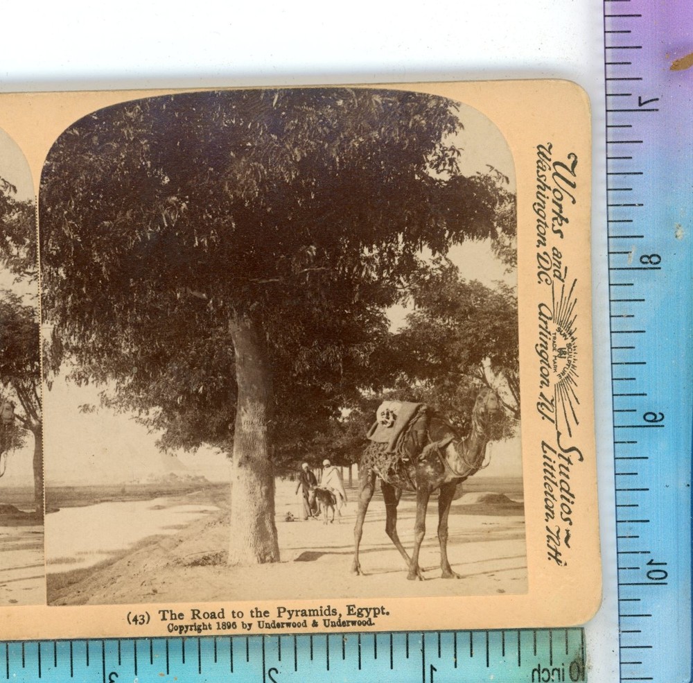 Camel The Road to the Pyramids Egypt Underwood Stereoview