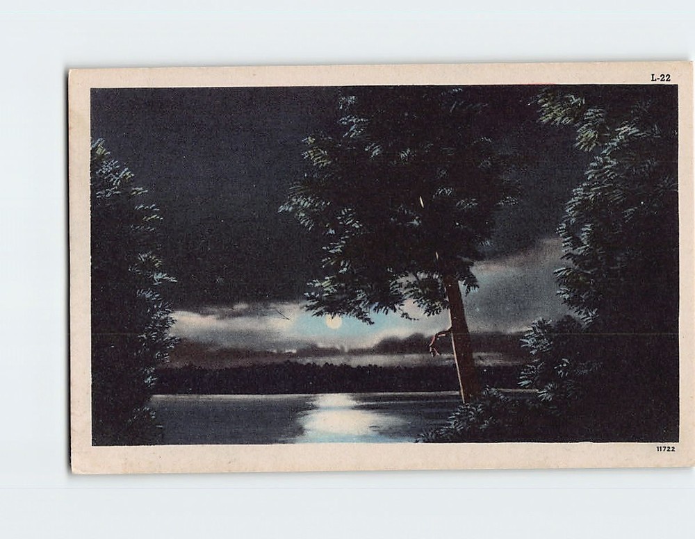 Postcard Nature Lake Trees Evening Scenery