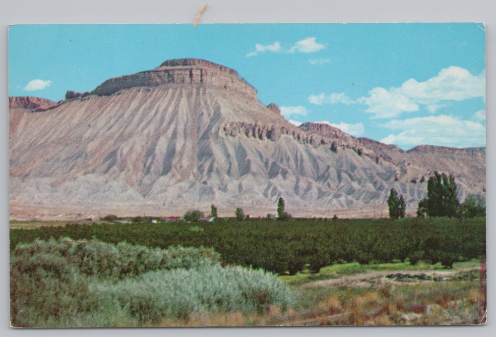 State View~Mt Garfield & Fruit Orchards Colorado River Valley~Vintage Postcard