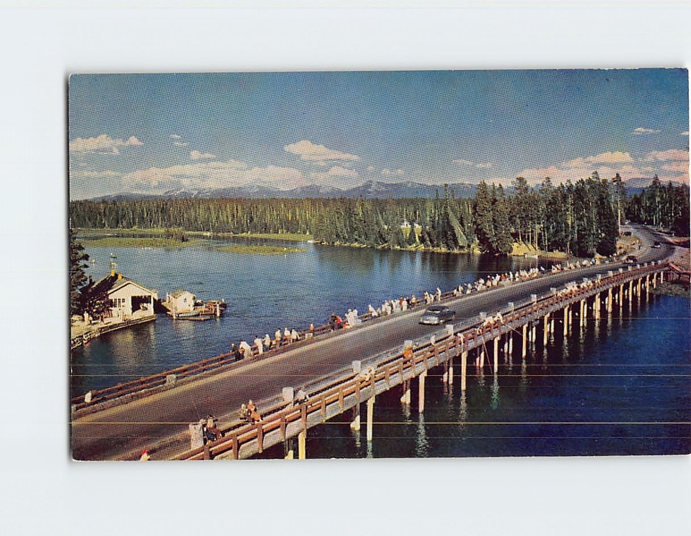 Postcard Fishing Bridge Yellowstone National Park River Wyoming USA America