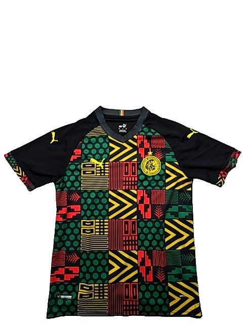 Puma Men's Multi-Color Adinkra Soccer Jersey Size M V-Neck dryCELL