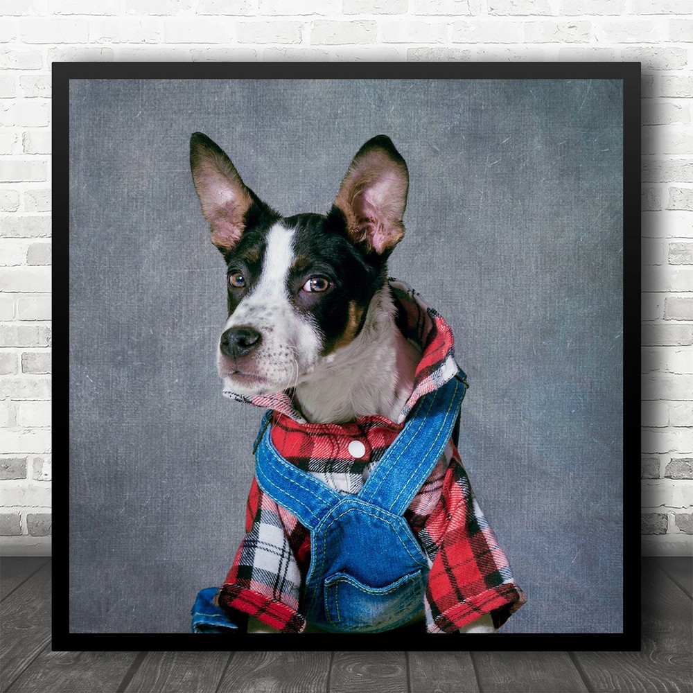 Portrait Black Clothes Denim Dog Square Wall Art Print
