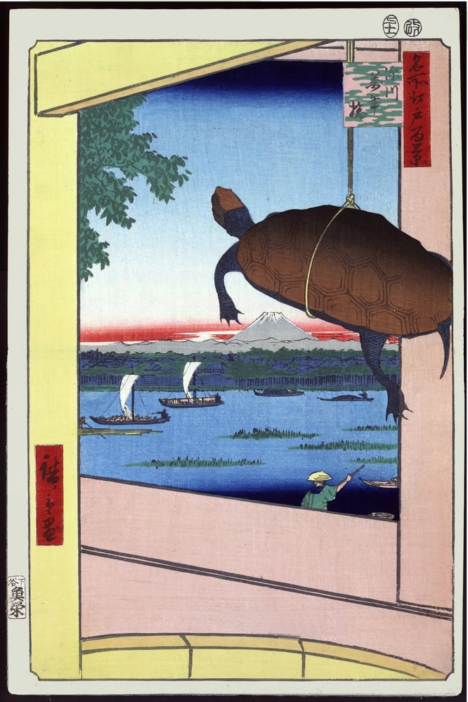 8469.Decoration Poster.Home Room wall art design.Japanese Turtle drawing.Asian