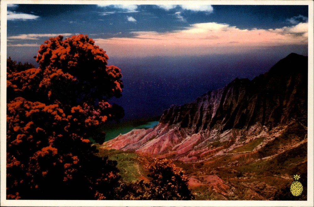 Hawaii Kauai Kalalau Valley scenic Island Heritage Pineapple Print ~ postcard