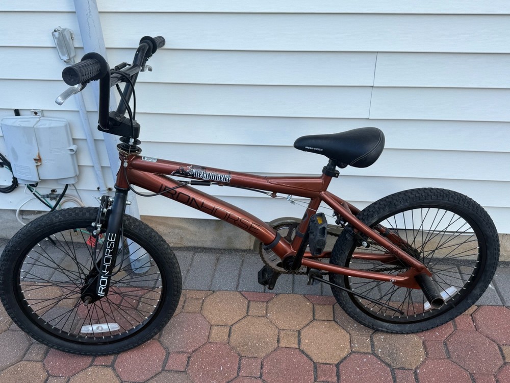 Iron Horse Bike (Kids) - Brown