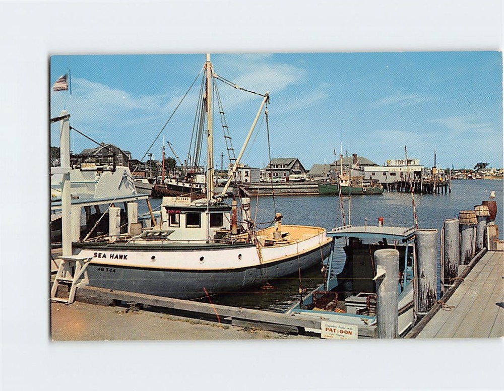 Postcard Lewis Cove Hyannis Cape Cod Massachusetts USA