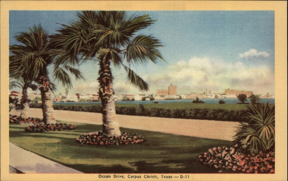 Ocean Drive Corpus Christi Texas palm trees vintage postcard v177