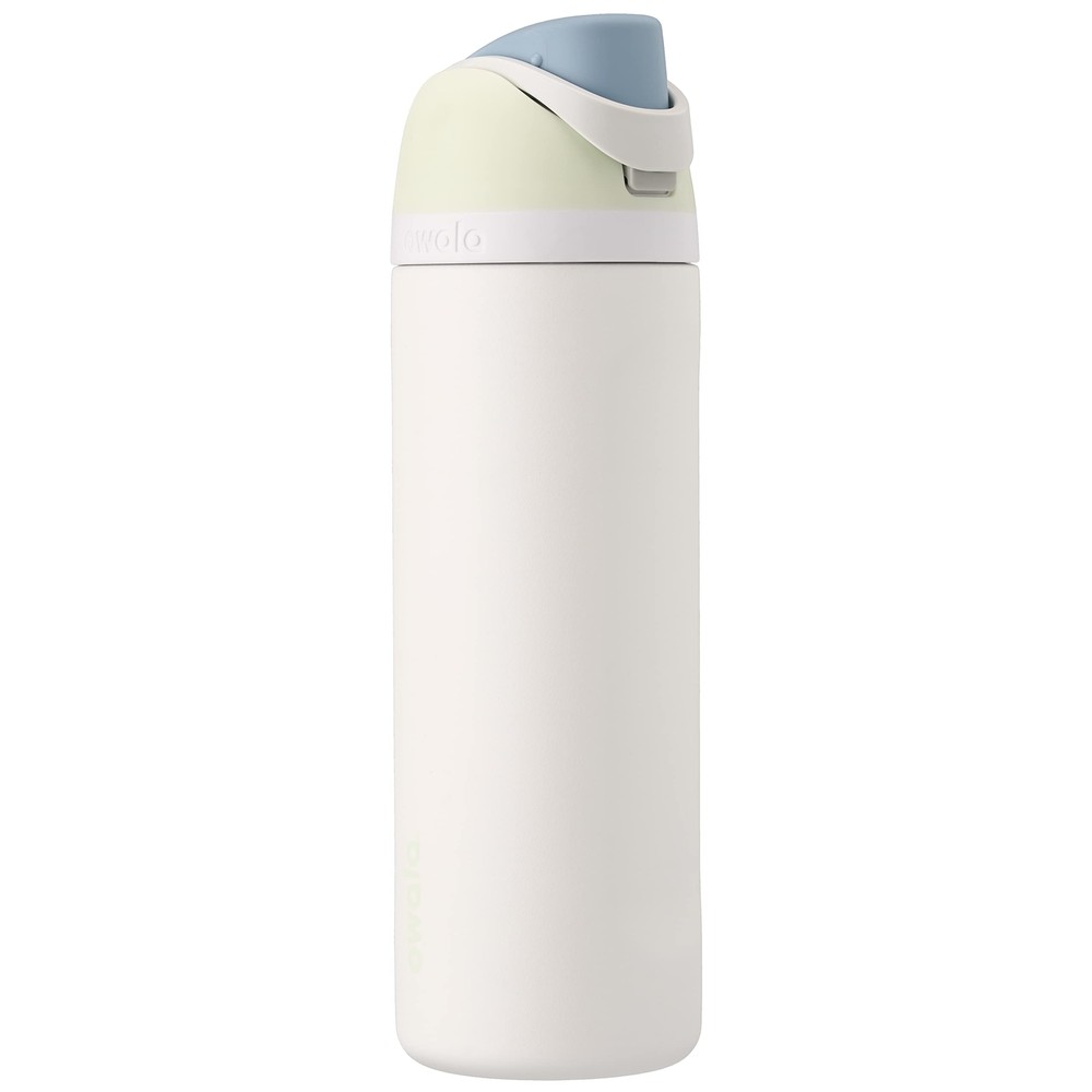 FreeSip Insulated Stainless Steel Water Bottle with Straw for Sports Travel a...