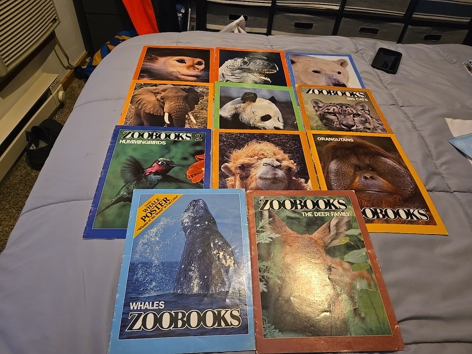 Zoobooks 1& 2 Lot of 11 Vintage 80s Educational Magazines RARE Animal Homeschool