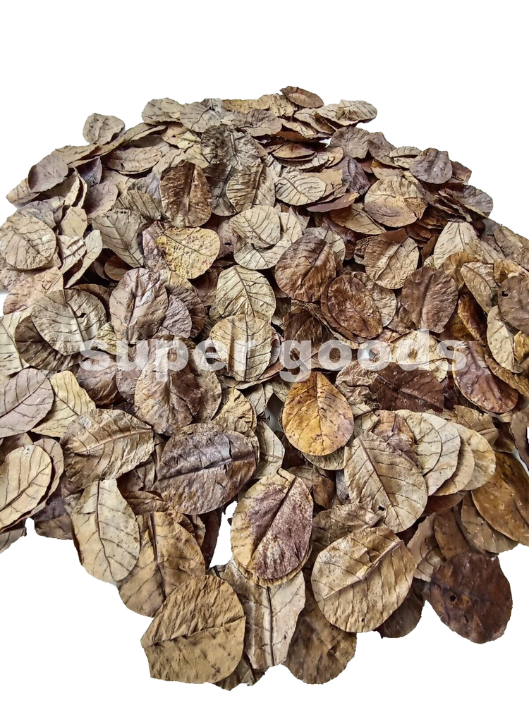 100Pcs 5