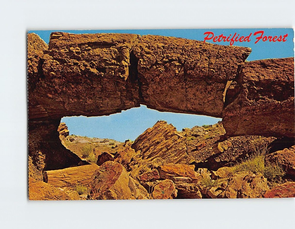 Postcard Petrified Forest National Park in Arizona
