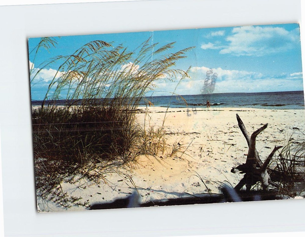 Postcard Beach Scene