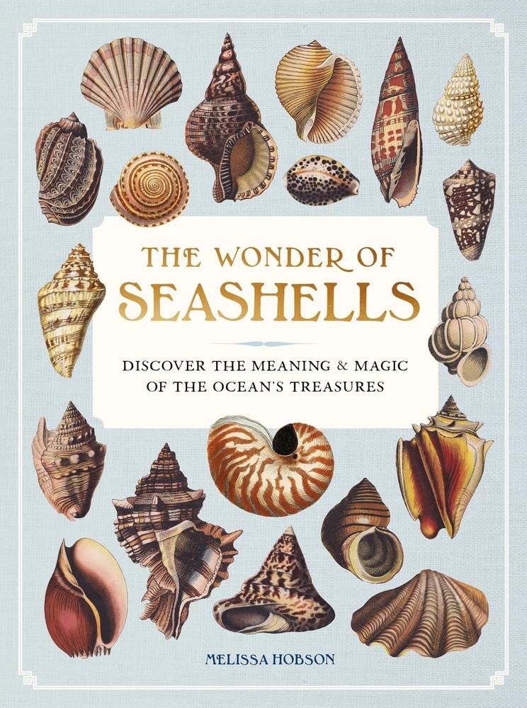 The Wonder of Seashells: Discover the Meaning & Magic Ocean’s...