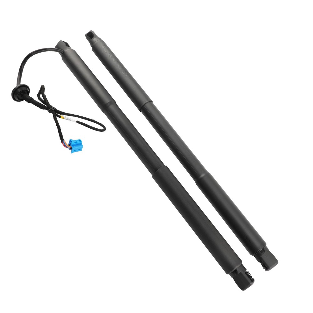 2x Trunk Lift Supports Shocks Fit for Mercedes-Benz GL350 GL450 GL550 ML350 W166