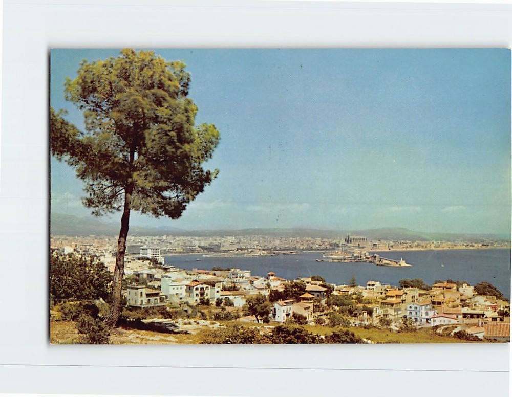 Postcard General View of La Bonanova Palma de Mallorca Spain