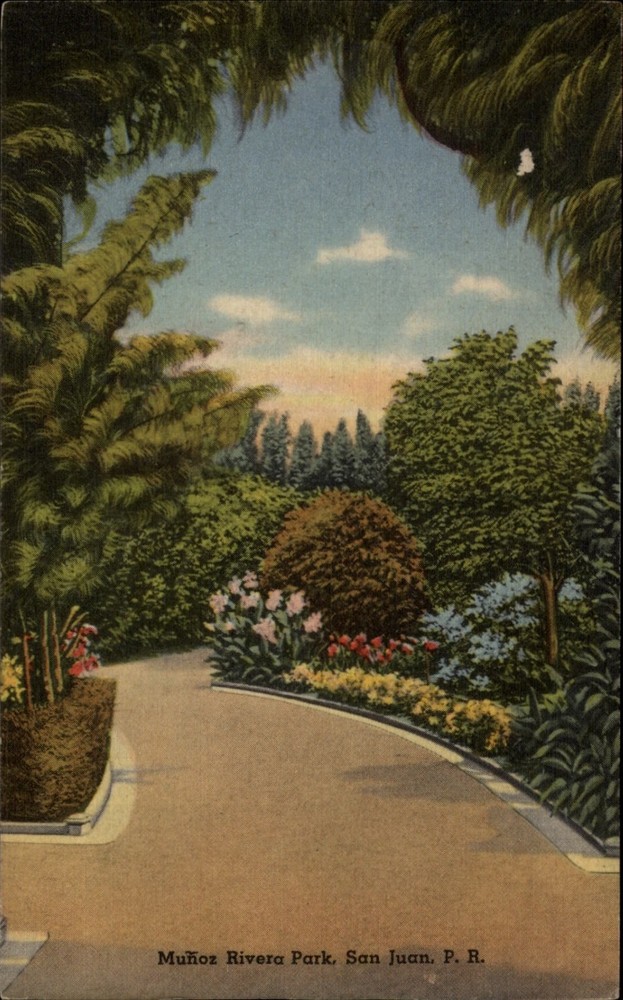 Munoz Rivera Park San Juan Puerto Rico vintage postcard s683