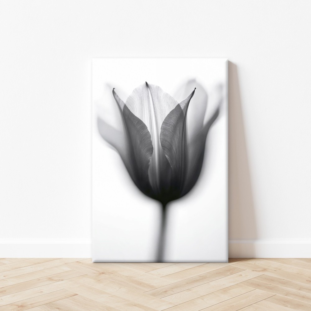 Black and White Close Up of a Flower Wall Art  Canvas Unframed/Framed