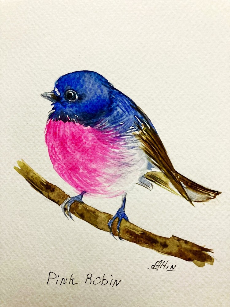 Scarlet Pink Robin Watercolor Original Bird Painting Art