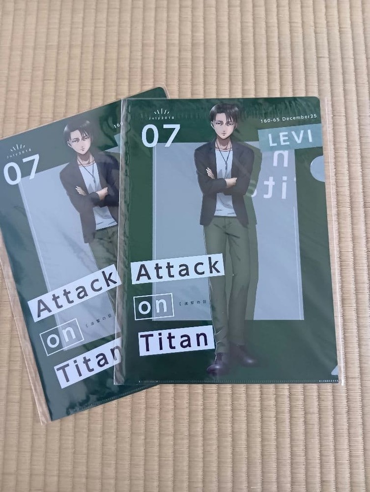 Attack on Titan Levi Ackerman Clear File Set 2 Pieces Green Color