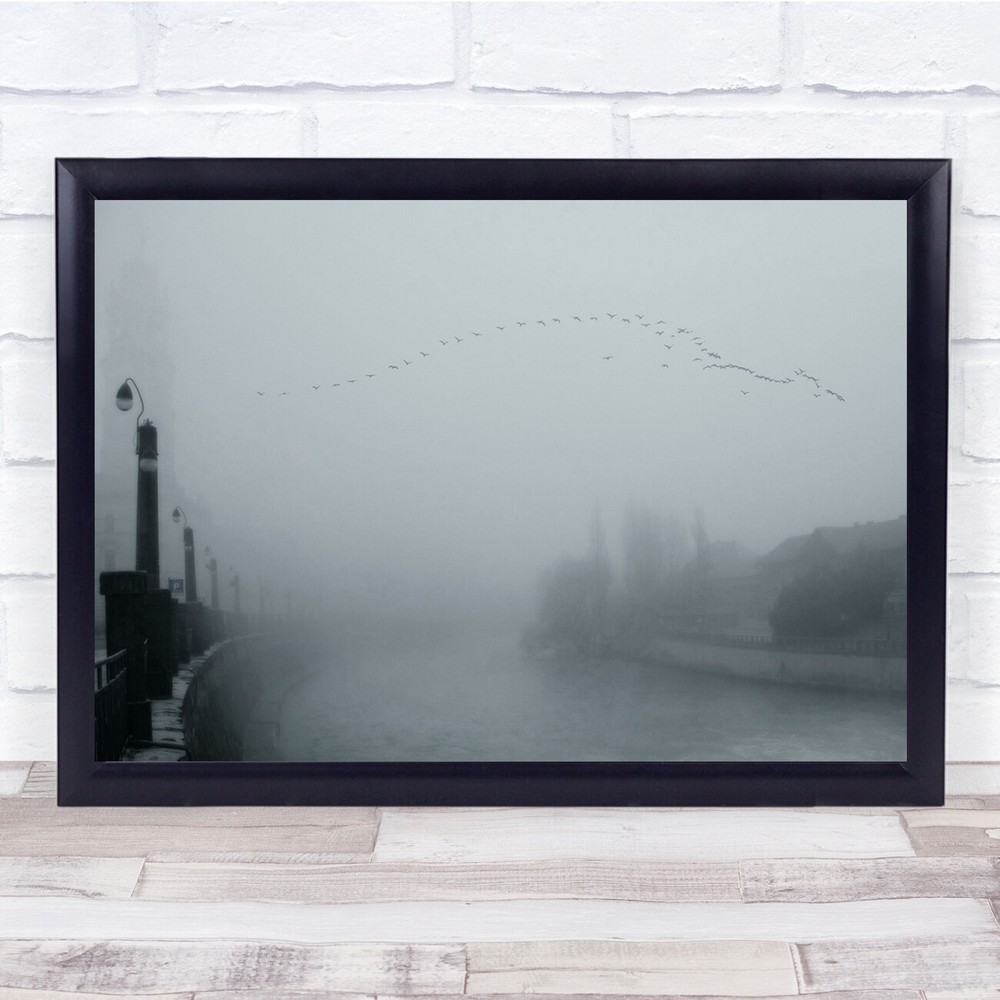 Mood Cold Winter Mist Fog Birds Urban Late Visitors Wall Art Print