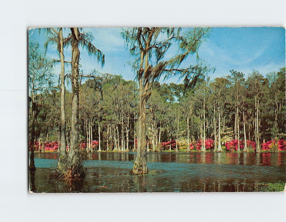 Postcard Greenfield Park Wilmington North Carolina USA