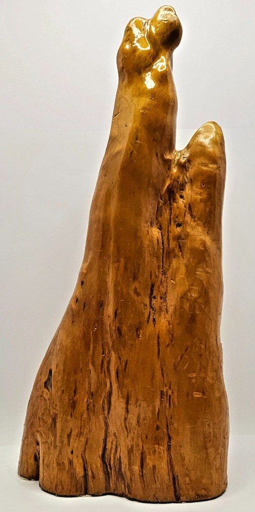 MCM Cypress Knee 17” Tree Root Natural Wood Art Sculpture 2 Peaks Retro Decor