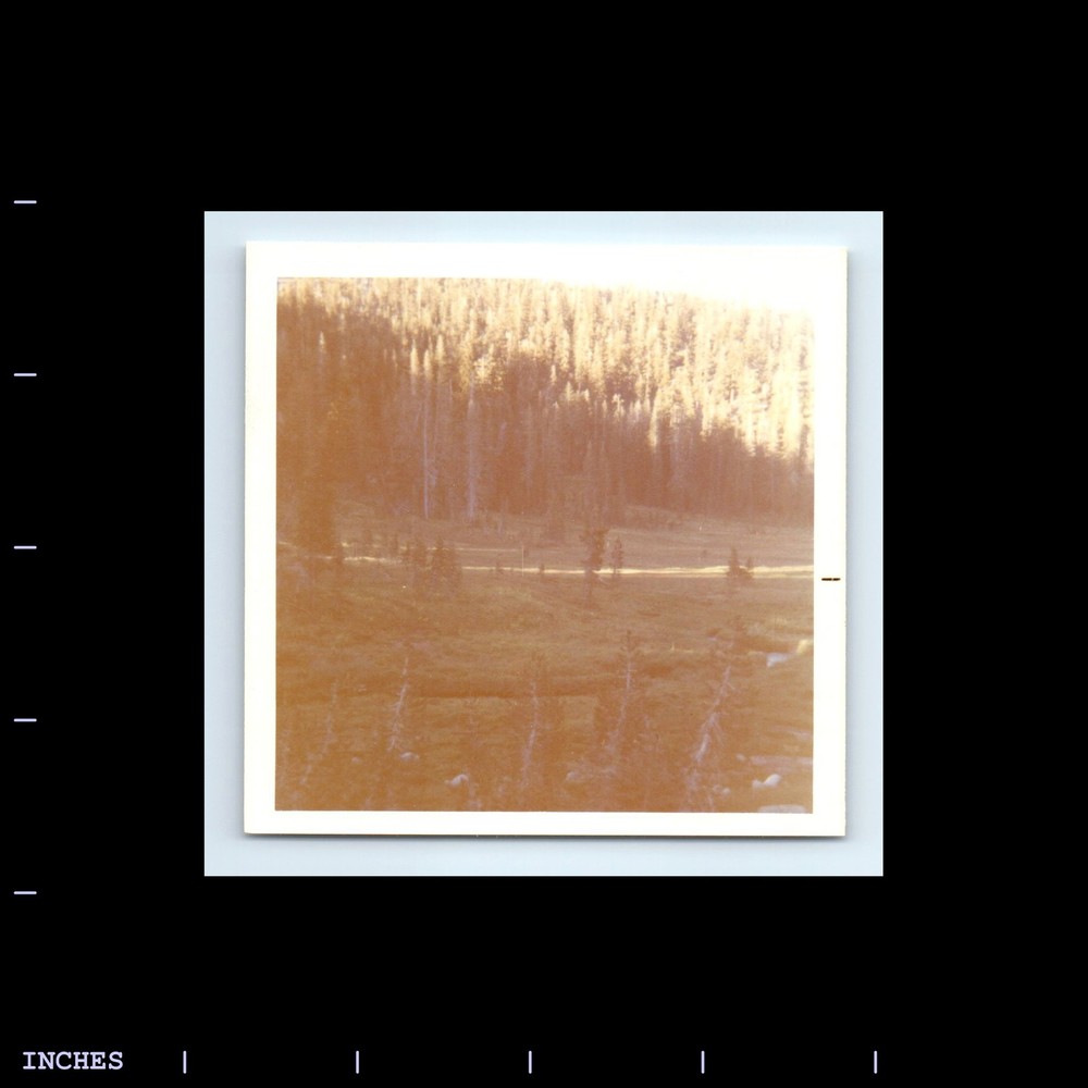 Square Color Photo MOUNTAIN LANDSCAPE FOREST TREES