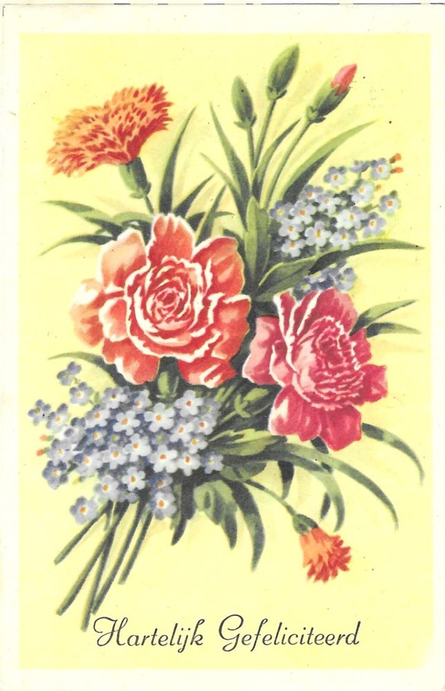 Vintage Greetings Postcard Flowers Hartelijk Gefeliciteerd Dutch Congratulations