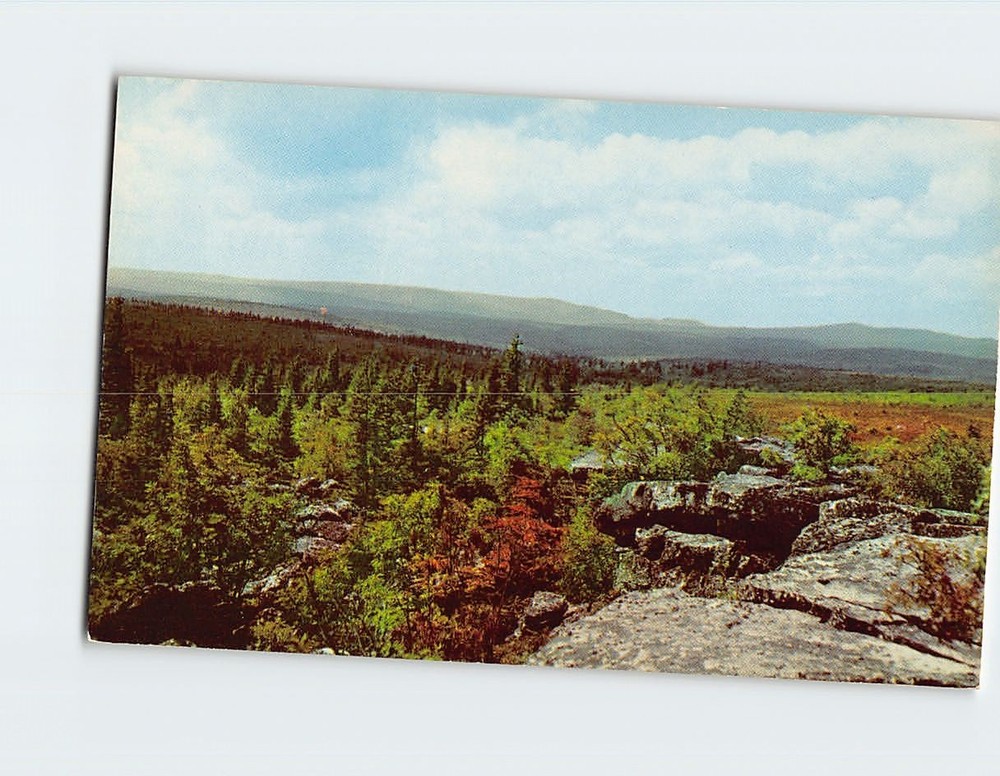 Postcard Spruce Knob Highest Point in West Virginia USA