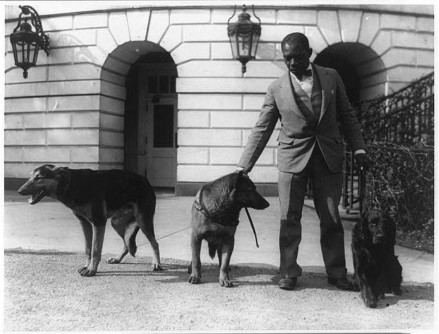 Photo:Washington DC 1910s Man with Dogs Government Building Exterior