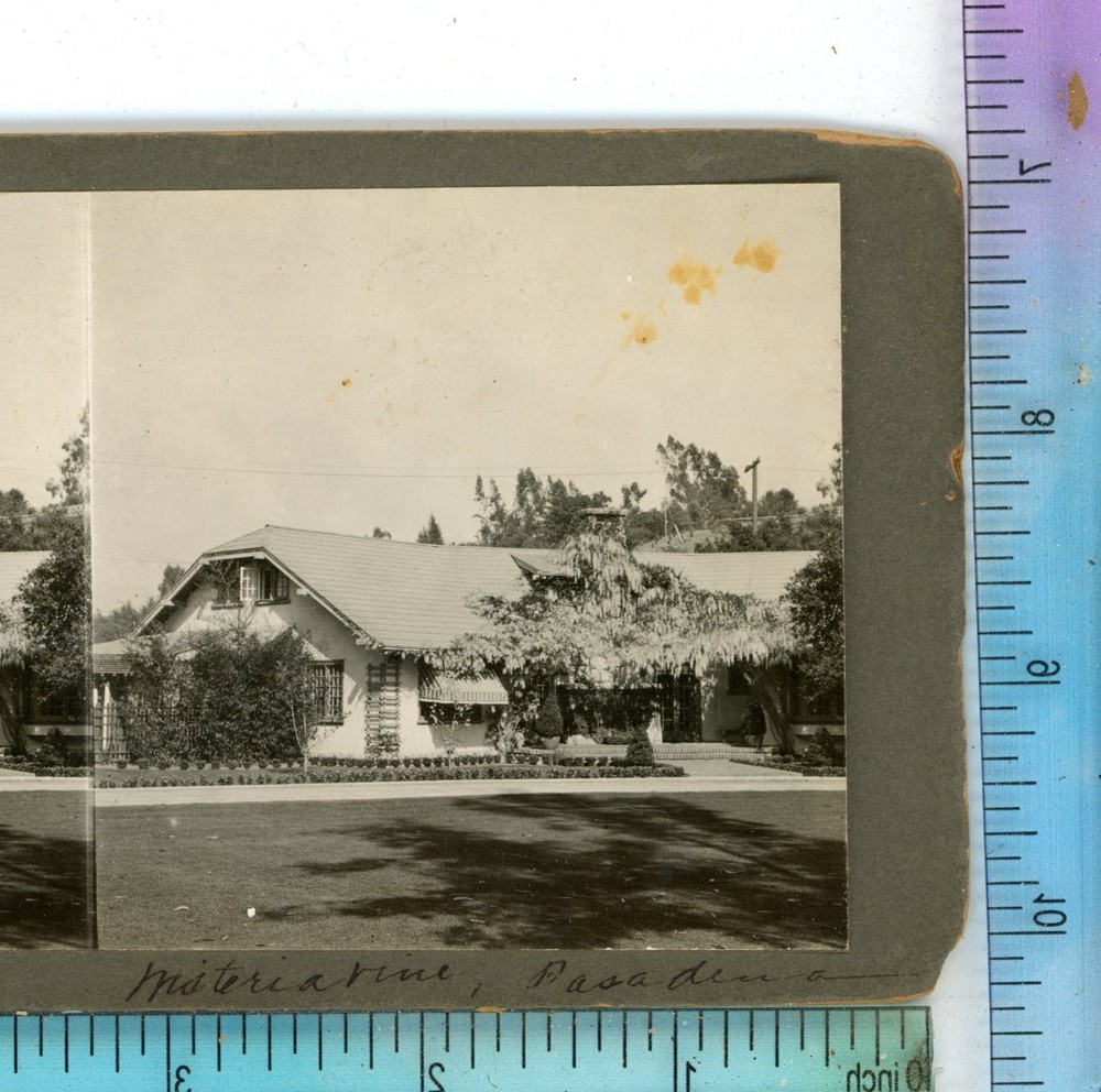 Wisteria Vine Pasadena CA California Stereoview