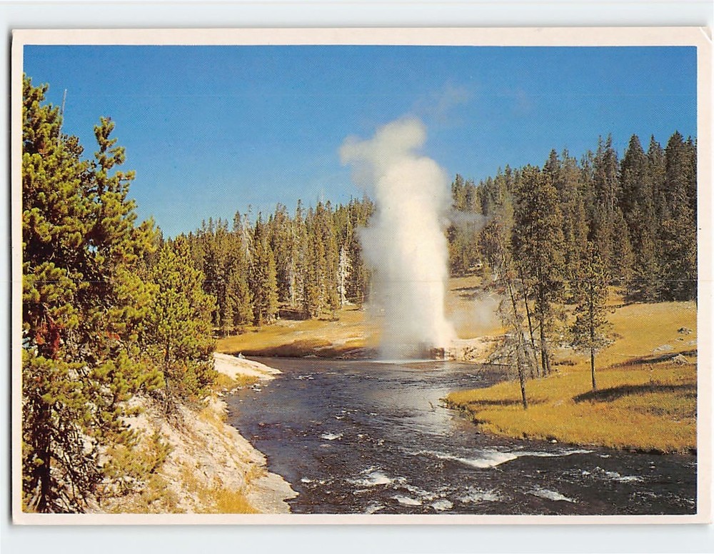 Postcard Riverside Geyser Yellowstone National Park Wyoming USA